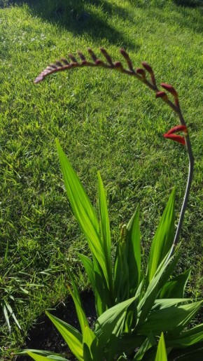 ���������� � ������: ������ �������� ���� �����