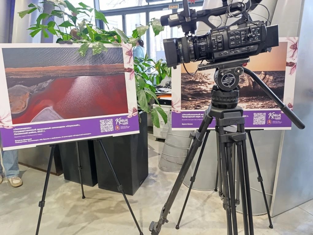 Дни крымского гостеприимства проходят в Воронеже Дни крымского гостеприимства проходят в Воронеже