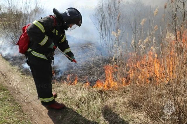 � ���������� ������� 17 ������ ������� ������������� �����