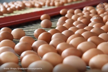 ����� �������� ����������� �������������� ������������ ���������� �� 2,5 ����