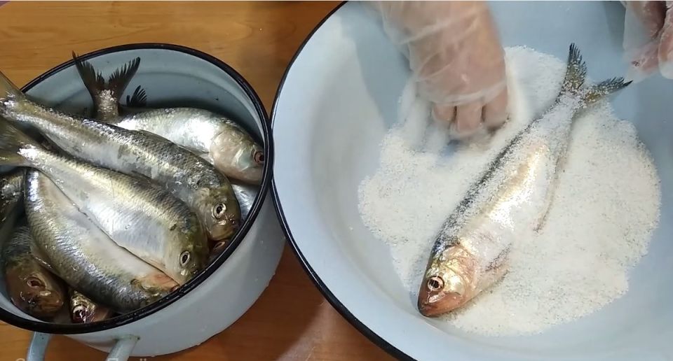 ������� ������: ���������� ���� �����