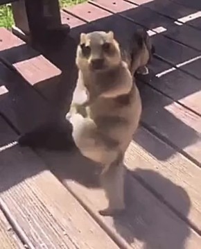 �� ��� � ����������� ������� ������