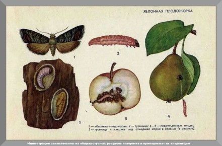 �������� ����: ��� ������� ������ �� ������� ������ �� ����� �������