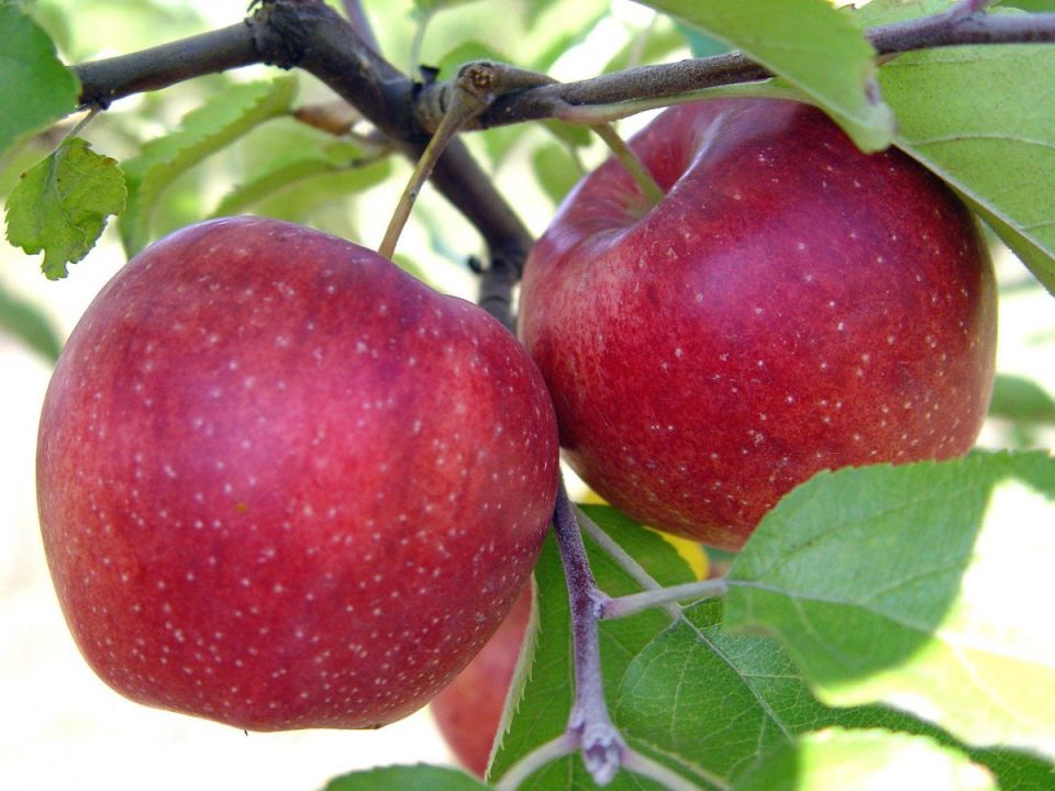 ������ �������� � �������� � �������� ������, �� � ������ ��� �����?