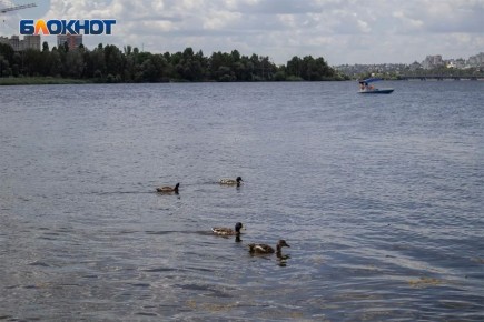 �� ������������� ��������� � ����������� ����� ���������