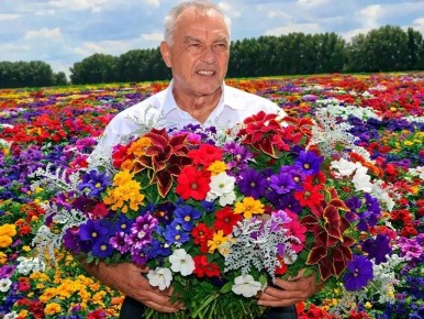 ��������� ������� ������ ������������ �������: ������� ������� ����� 50 ��� ������ ������ 10 ��� � ��������� ������