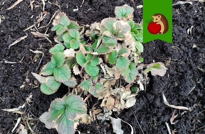 ��� ��������� �� ��������� ����� �����: ������� ��� �������� ������