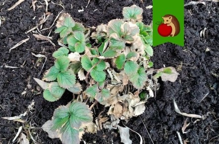 ��� ��������� �� ��������� ����� �����: ������� ��� �������� ������