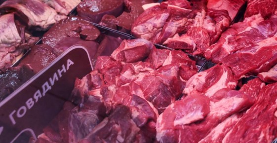 �������� �� ���� ���: ������ ������ ����� ��������