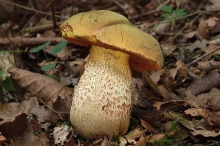 �������: ��������� ���� � ����� �������� � ���������