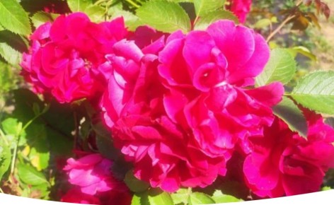 ��������� ��� � �������: ������� ���������� � ���� � �������� ��������