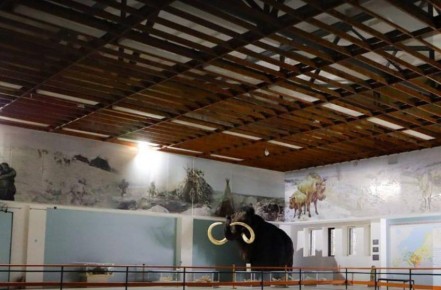 ������� ���� �������� ������ ������������-�������������� ������ � ����������� ��� ���������