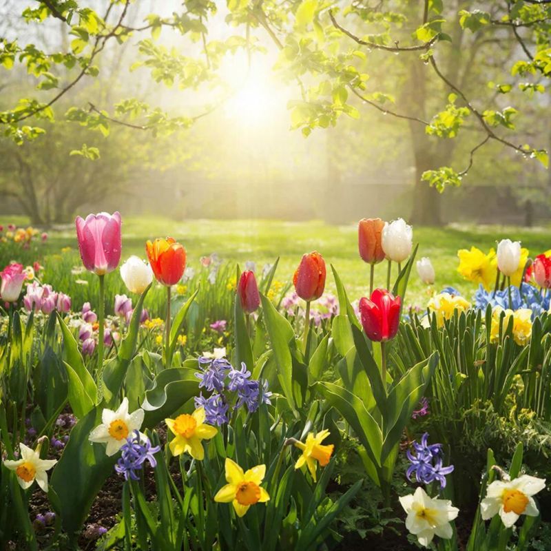 ����� � ������� �������� �����, ������� ����� ��������������