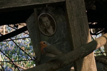 ������ ������ ��� ����� �������� ����������: ��������� ������������� ������ � �������� �������� � ����������� ������