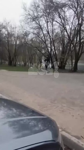 ������� ���� �� ��������: ��������� ���� �� ����� ��� ������!