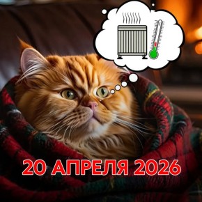 20 ������ 2026 ����. ���� ������� ������ �����
