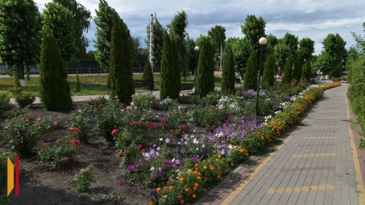 ���������� ����������� ������� ��������� ����� � ������������ ������� ���� ������� ���������� ���������� �������� �������������� � ���������������� ����������