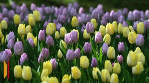 � ����� ������ � ������ �������� ��� ������� ���� ��� �������� ������� ������