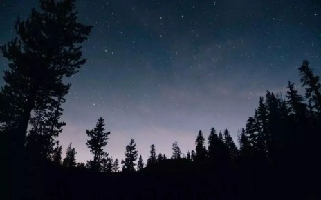 ��� ����������� ����������� �������� (����) ����������� � ���� ��� ����������� �������� � ���� �� �������, 21 ������