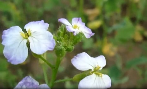 ������ ���������: ������� ������ � ���������� � �����������