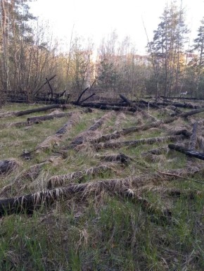 ��������� � ��������. ��� �� ��� ����� ������, ���� ���� ������� ���������