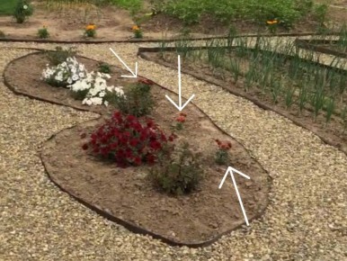 ����� ����������� ���������: �� ������� �� ��������� ����