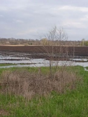 � ������������ ������ ���� ������� ��-�� ������ ��������� ������ �� ���������