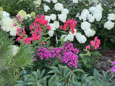 ������: ������ ��� ������ ����������, �� �������� ��������� ����������� ����������