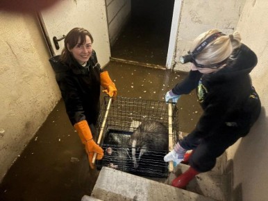 ������������� ������� ������ �� ������������ ������� � ������ ��������