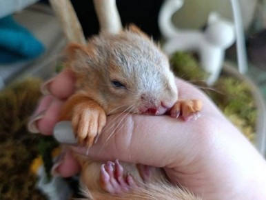 ���������� ������������ ������� � ������������ ������������ ������������ � ����������� ����� ����������