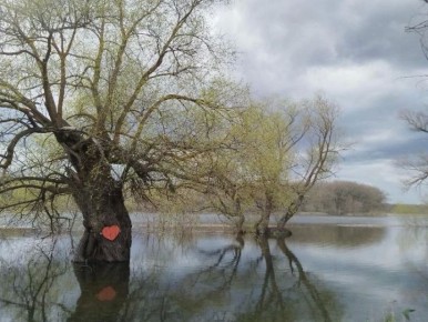 �������� �������� ����� ��������� ������� ��� ��������� � ��������� �����������