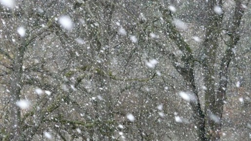 ���������� ����� ��������� ���������� ���� ������ ���� � ������ �� -2 ��������