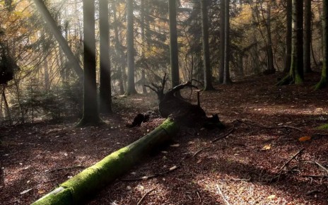 � ������ �������� � �������� ��������� 10 ��������� �� ������ ������� ��������