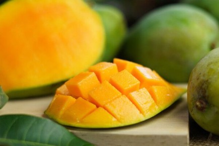 ������ �����: ����������� �������� � ������ � ������ �����