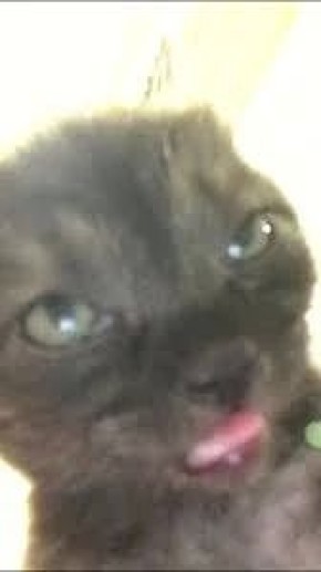 ���� ������ ����!. ����������� � ������� ������� ������