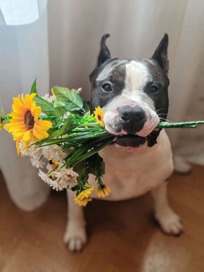 ��������, ��� ������ �� ���� ���������: ��� �� ������ ��� �����, ������������ � ���, � ��������