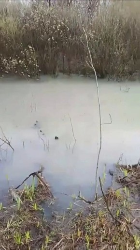 ������ ������������ ����������� �������� ������������ �� ����������� ����� ����������� ����� ���������