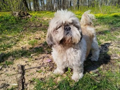 �� ������ 51,5 ��� ��� �� 21 ����: ����� �������� ���������� ���� �� ���������� � ������ �������