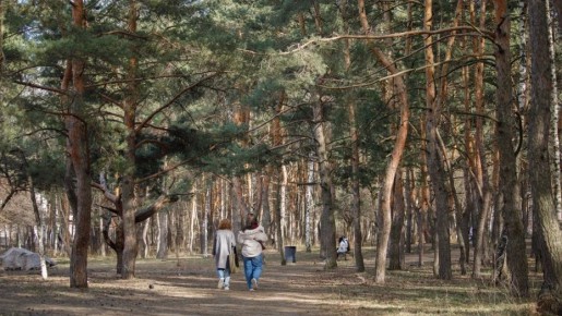 � ����������� ����� ������� �������� ��������� ���������� �� ������ 30 ������ � 1 ���