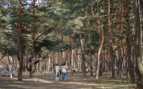 �� ��� ��� ������� ��� ��������� ���� ������� � ��������