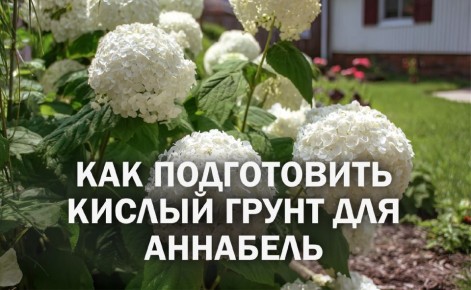 ��� ������� ��������� ����� ��� ��������� ��������