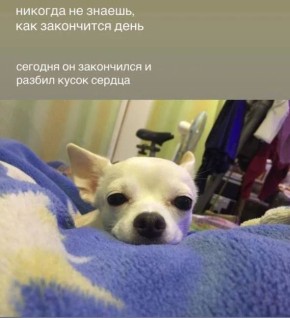 ������ ���� ������ � ������� ��-��� ���������� �������: �������� ������ ����� �������� � ������� �� ���� ��������� � ��������