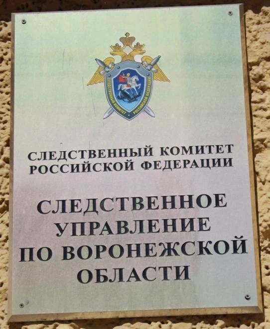 В Воронеже следователями СК возбуждено уголовное дело по факту оказания небезопасных услуг, повлекших травмирование несовершеннолетней