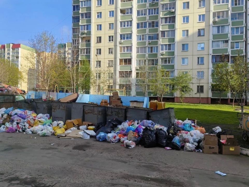 «Скоро завалит проезжую часть»: воронежцы несколько месяцев безуспешно борются со свалкой на Шишкова «Скоро завалит проезжую часть»: воронежцы несколько месяцев безуспешно борются со свалкой на Шишкова