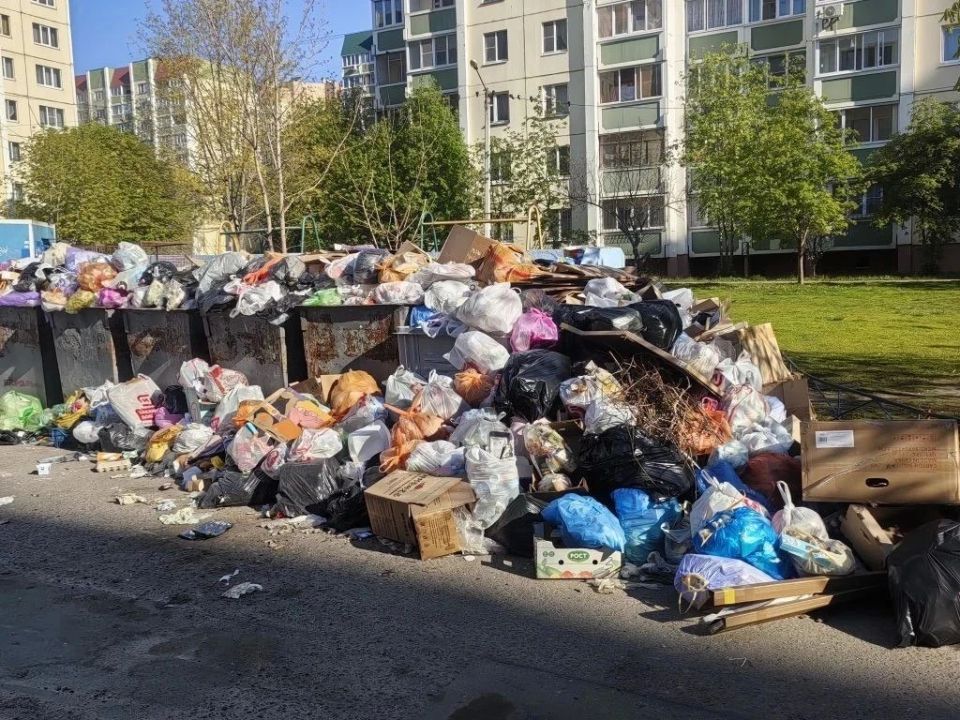 «Скоро завалит проезжую часть»: воронежцы несколько месяцев безуспешно борются со свалкой на Шишкова «Скоро завалит проезжую часть»: воронежцы несколько месяцев безуспешно борются со свалкой на Шишкова