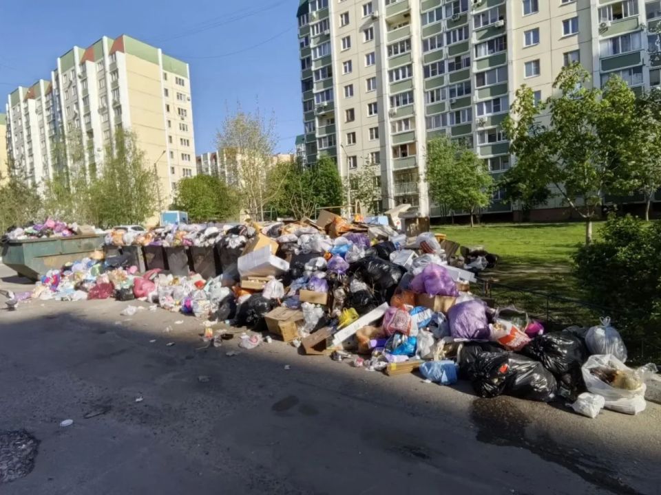 «Скоро завалит проезжую часть»: воронежцы несколько месяцев безуспешно борются со свалкой на Шишкова «Скоро завалит проезжую часть»: воронежцы несколько месяцев безуспешно борются со свалкой на Шишкова