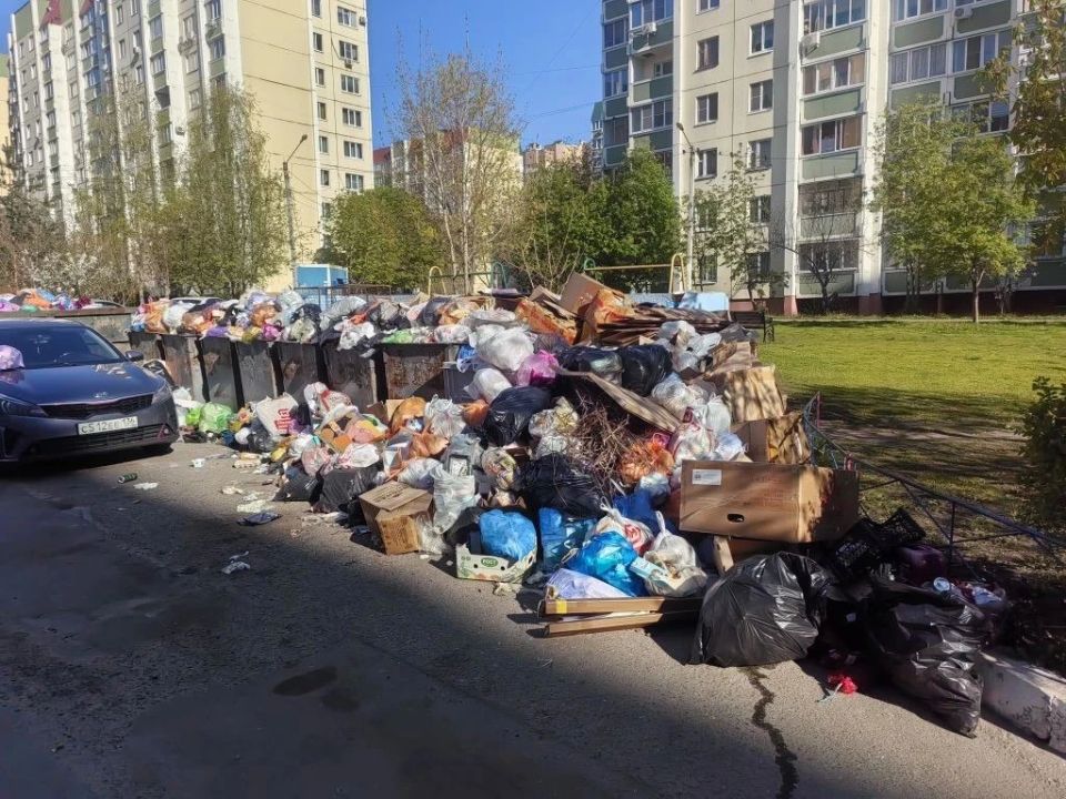 «Скоро завалит проезжую часть»: воронежцы несколько месяцев безуспешно борются со свалкой на Шишкова «Скоро завалит проезжую часть»: воронежцы несколько месяцев безуспешно борются со свалкой на Шишкова
