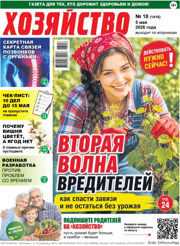 Важный подарок для родителей – это забота каждый день