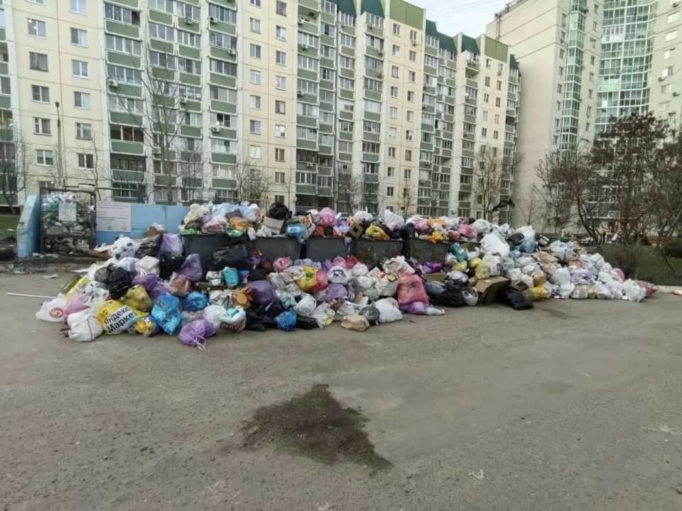 «Скоро завалит проезжую часть»: воронежцы несколько месяцев безуспешно борются со свалкой на Шишкова «Скоро завалит проезжую часть»: воронежцы несколько месяцев безуспешно борются со свалкой на Шишкова
