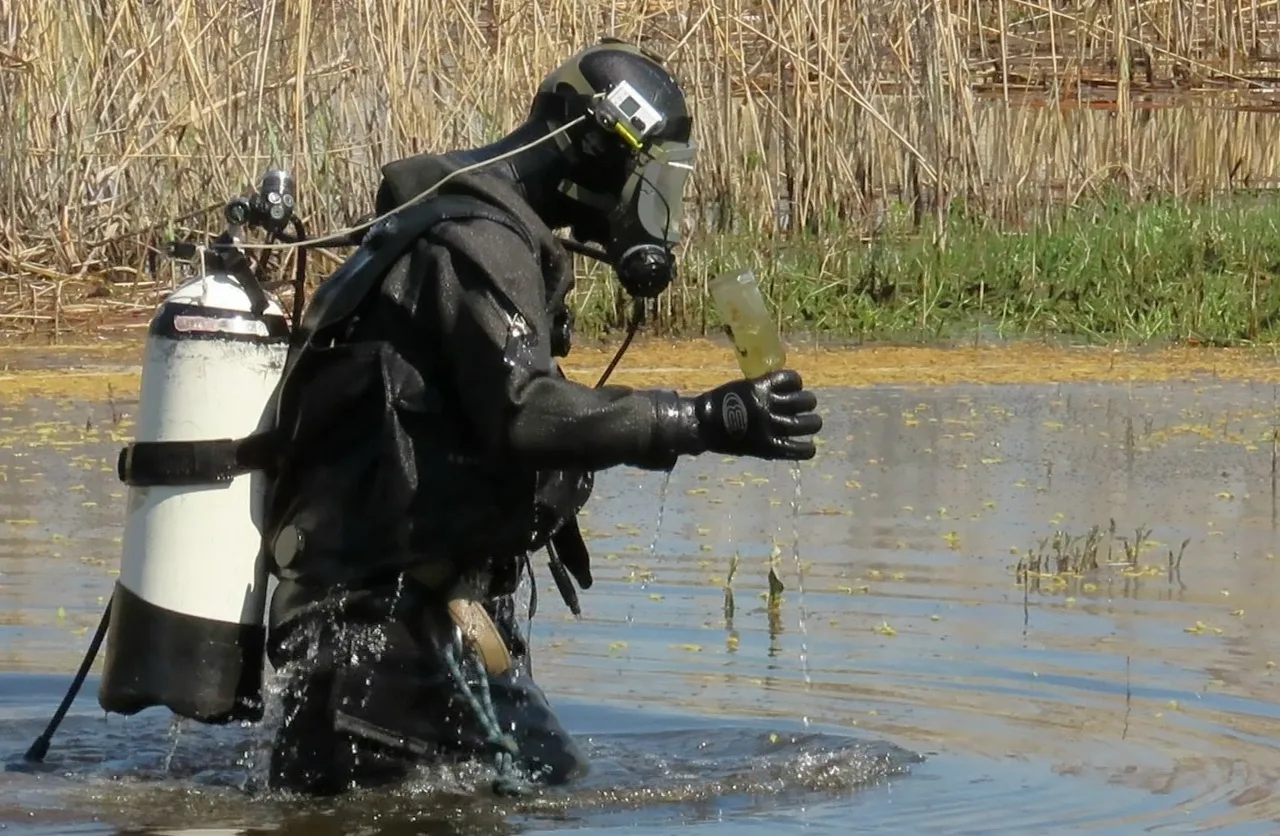 В Новоусманском районе водолазы очистили дно водоемов в районе 3 популярных пляжей В Новоусманском районе водолазы очистили дно водоемов в районе 3 популярных пляжей